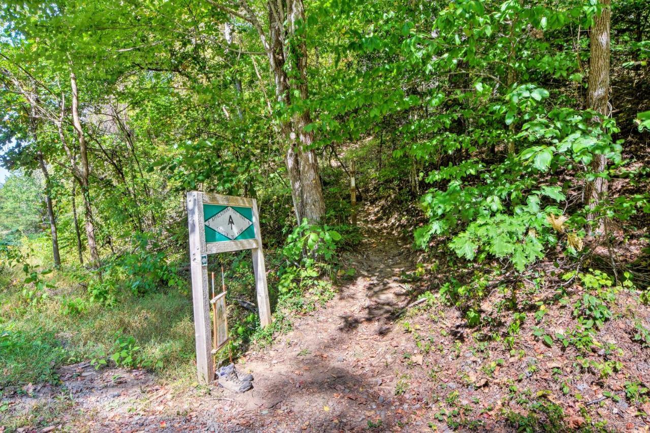 Mountain Cottage With Views Near Tail Of The Dragon! Fontana Dam エクステリア 写真